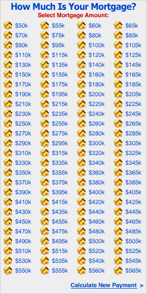 Select Your Loan Size